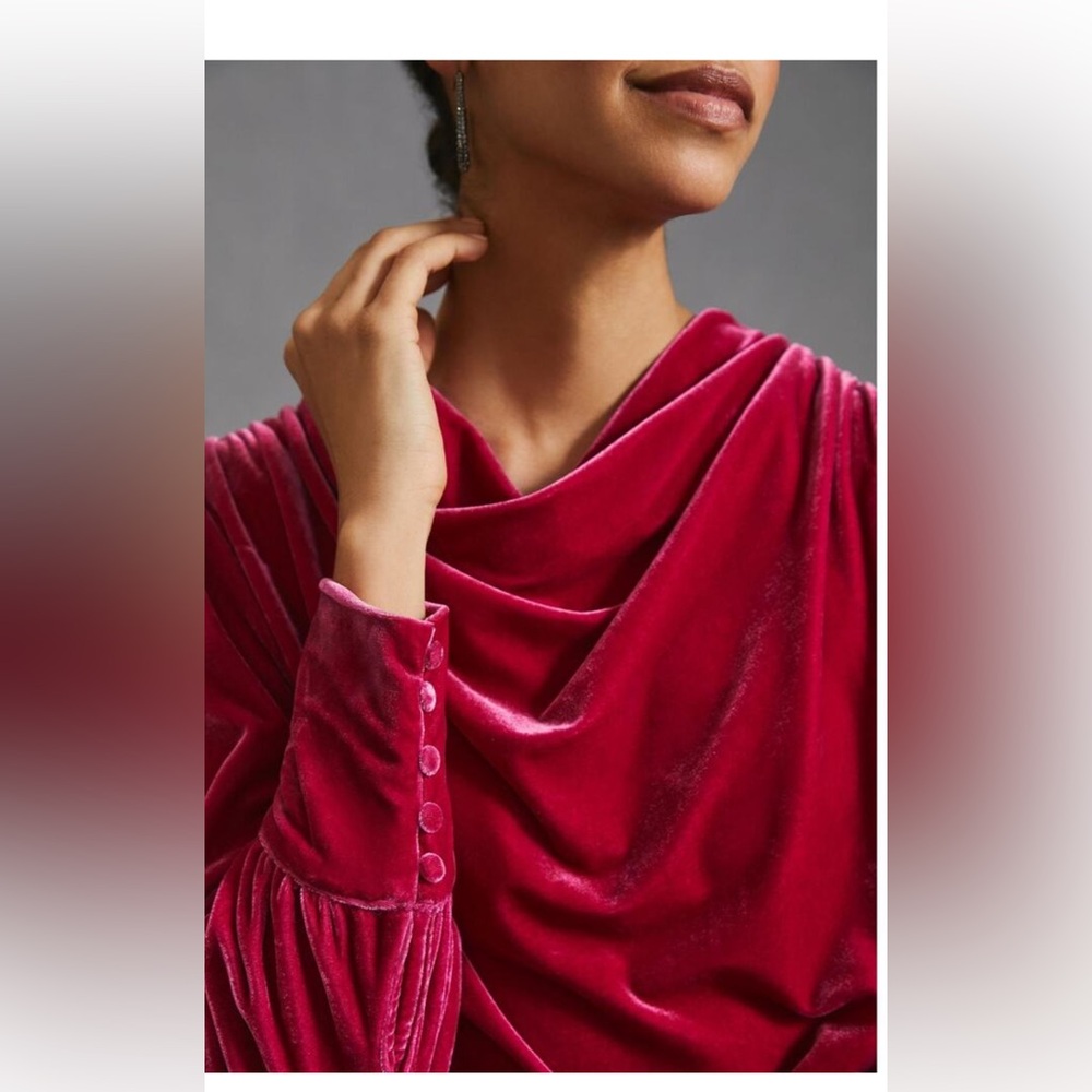 Anthropologie Pink Velvet Blouse - Picture 2 of 8